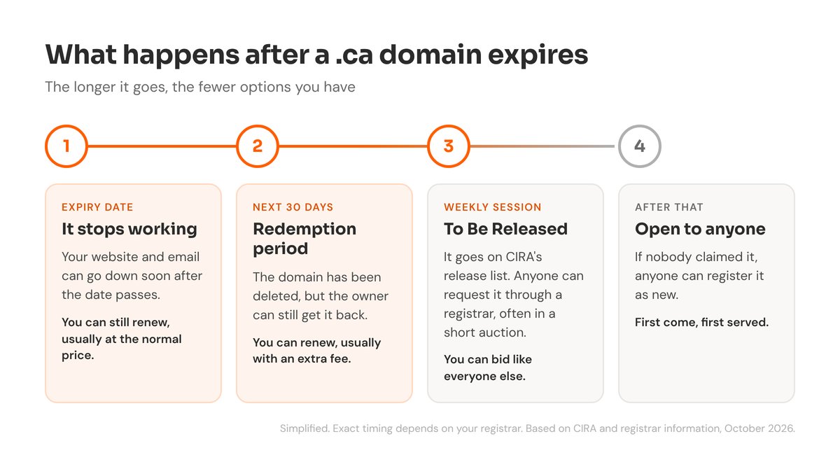 Four stages after a .ca domain expires: on the expiry date it stops working and can still be renewed; for the next 30 days it is in a redemption period and can be renewed with an extra fee; then it goes to CIRA's weekly To Be Released session where anyone can request it, often in a short auction; after that anyone can register it as new
